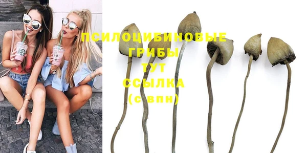 экстази Инта