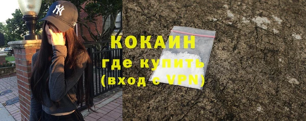 ешки Инсар