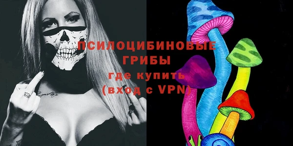 ешки Инсар