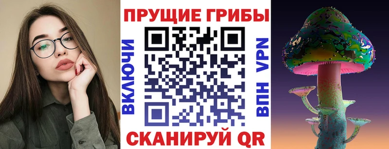 Галлюциногенные грибы Psilocybine cubensis  Купить закладки  Грязи 